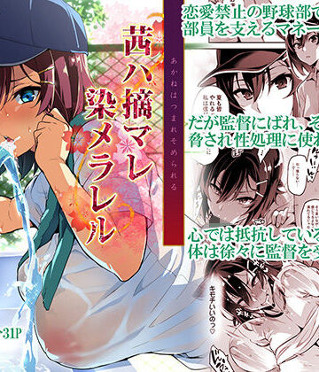 【真珠貝】茜ハ摘マレ染メラレル